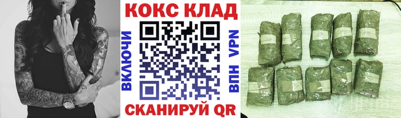 Купить закладки  Заводоуковск  Cocaine Боливия 