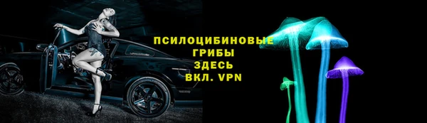 мескалин Ельня