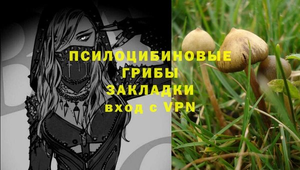 экстази Елизово