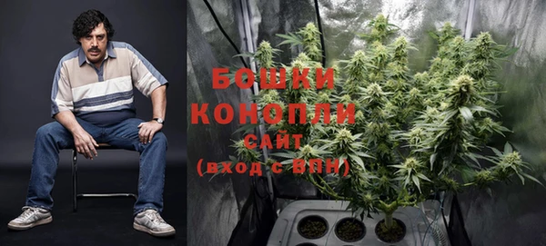 мескалин Ельня
