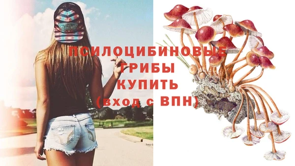 мескалин Яранск